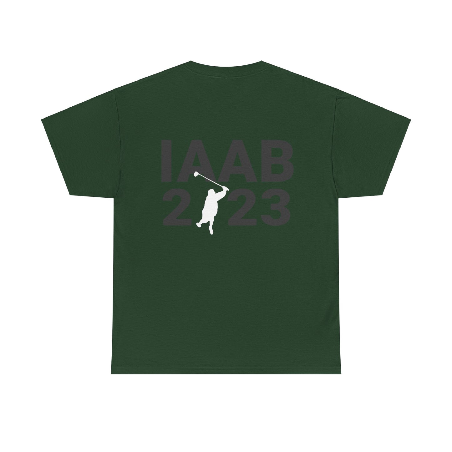 Drake Merch - Drake It's All A Blur I Like What Drake Likes Golf Green Tour Tee